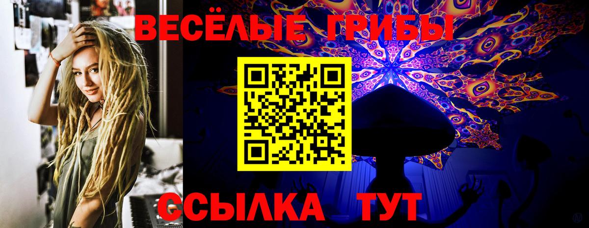 где купить наркоту  Вход с VPN  Псилоцибиновые грибы мицелий  Каспийск  Псилоцибиновые грибы ЛСД 