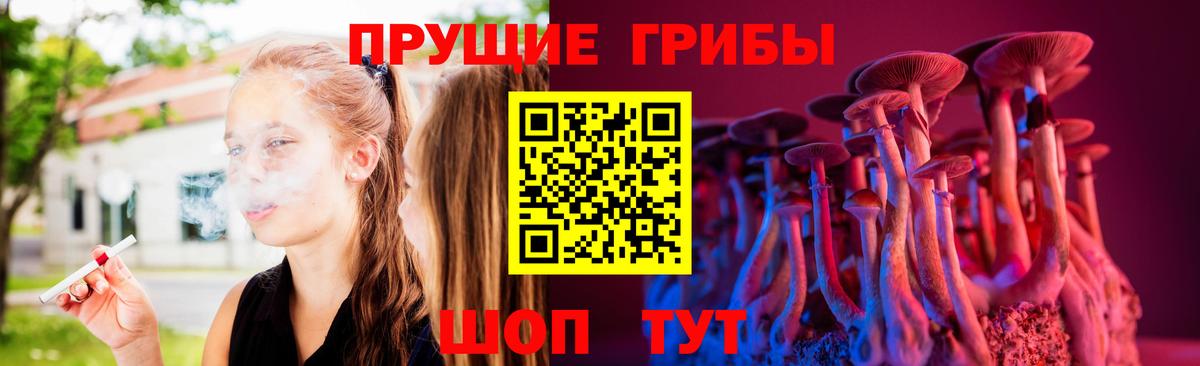 Псилоцибиновые грибы Psilocybine cubensis Каспийск